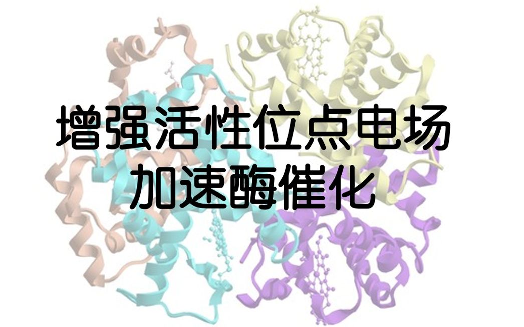 [图]【Nature Chemistry 八月新文】增强活性位点电场加速酶催化