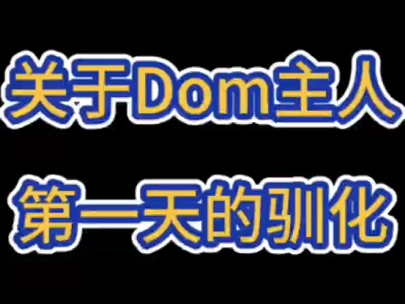 关于dom主人第一天的驯化哔哩哔哩bilibili