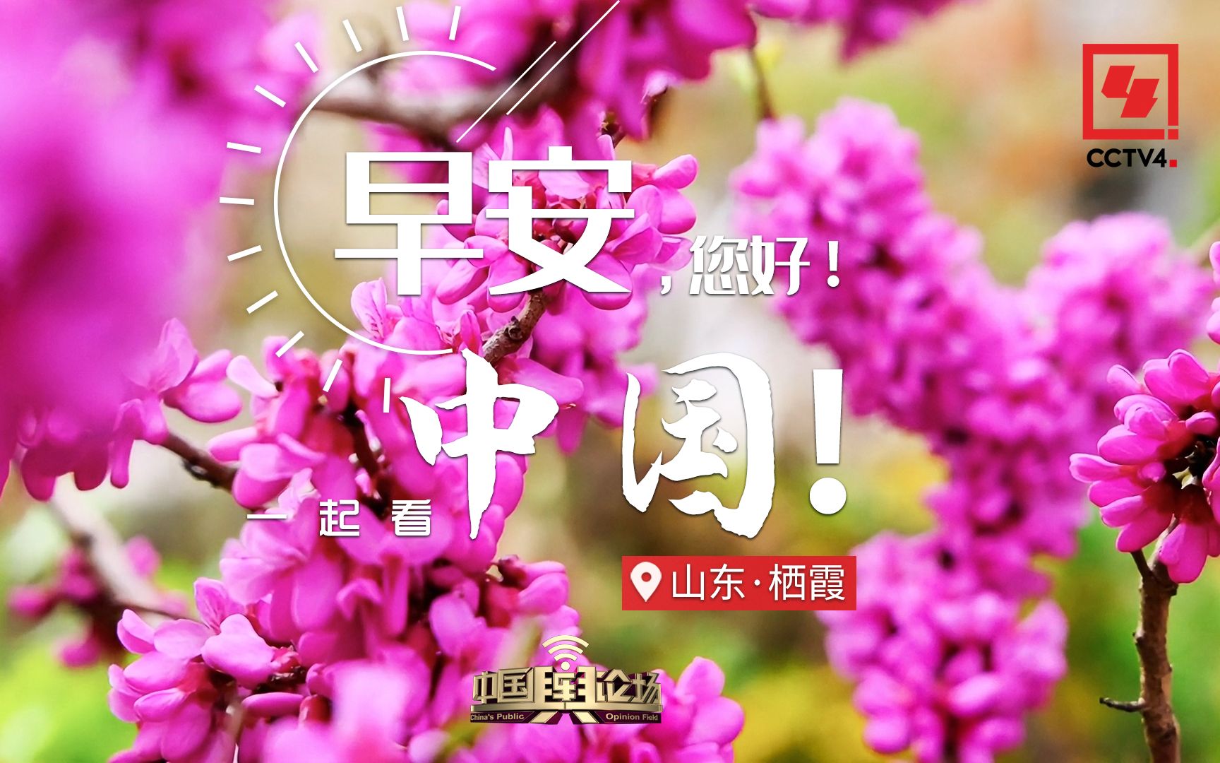 走进山东栖霞 感受“胶东屋脊”!哔哩哔哩bilibili