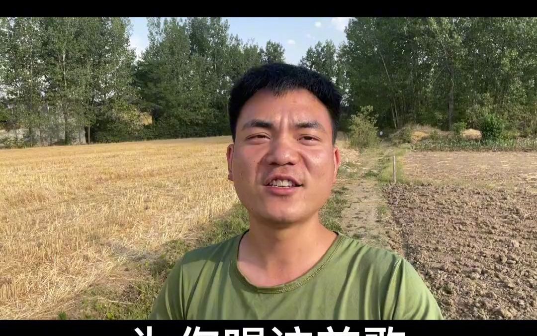 舞钢文旅康养新玩儿法 今天拍一下俺们这的家乡,新时代,新创新,新农村!你喜不喜欢!哔哩哔哩bilibili