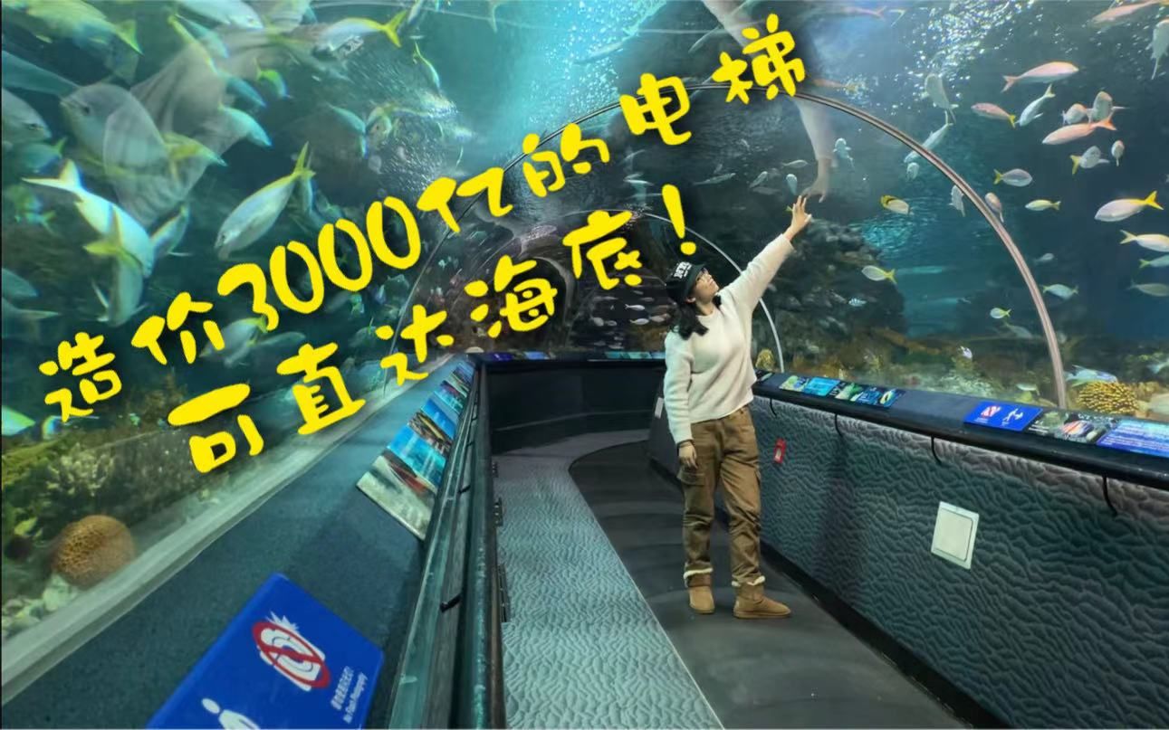 [图]造价3000亿的电梯可直达海底！？上海海洋水族馆全纪录！！！