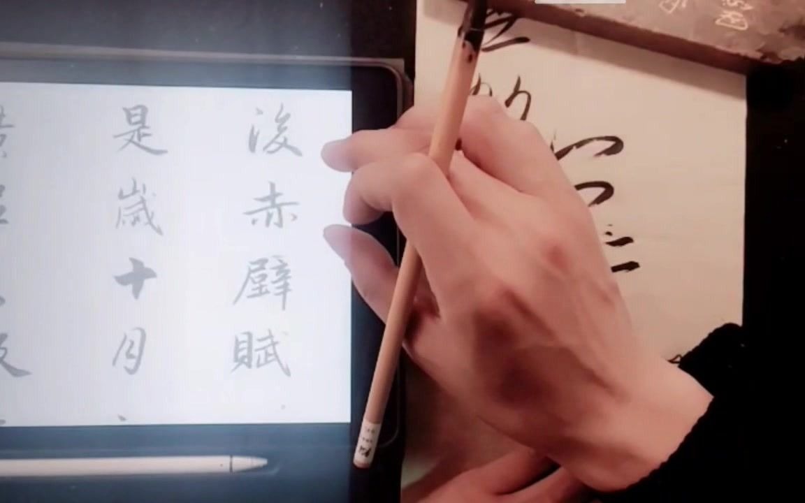 【12.5书法公开课6】临帖时字体写多大最合适?哔哩哔哩bilibili