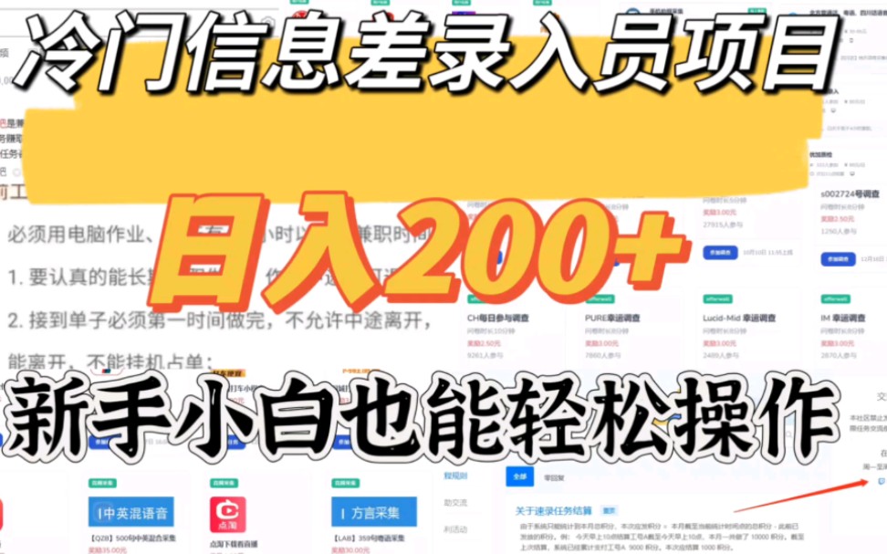 冷门信息差录入员项目,日入200+,新手小白也能轻松操作哔哩哔哩bilibili