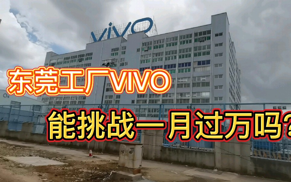 东莞VIVO工厂,挑战一月过万工资能成功吗?哔哩哔哩bilibili