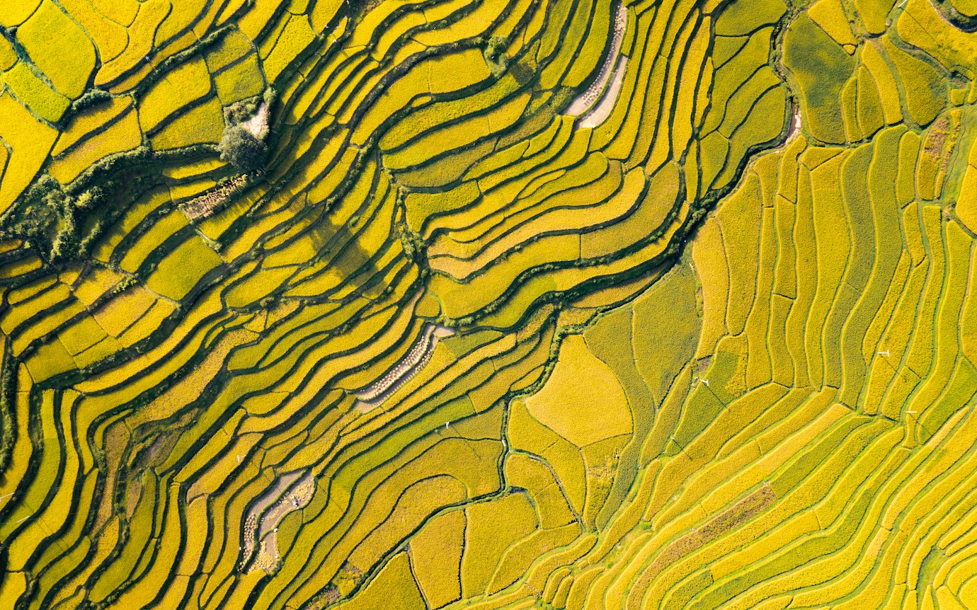 活动作品贵州黔南腊利梯田航拍旅拍