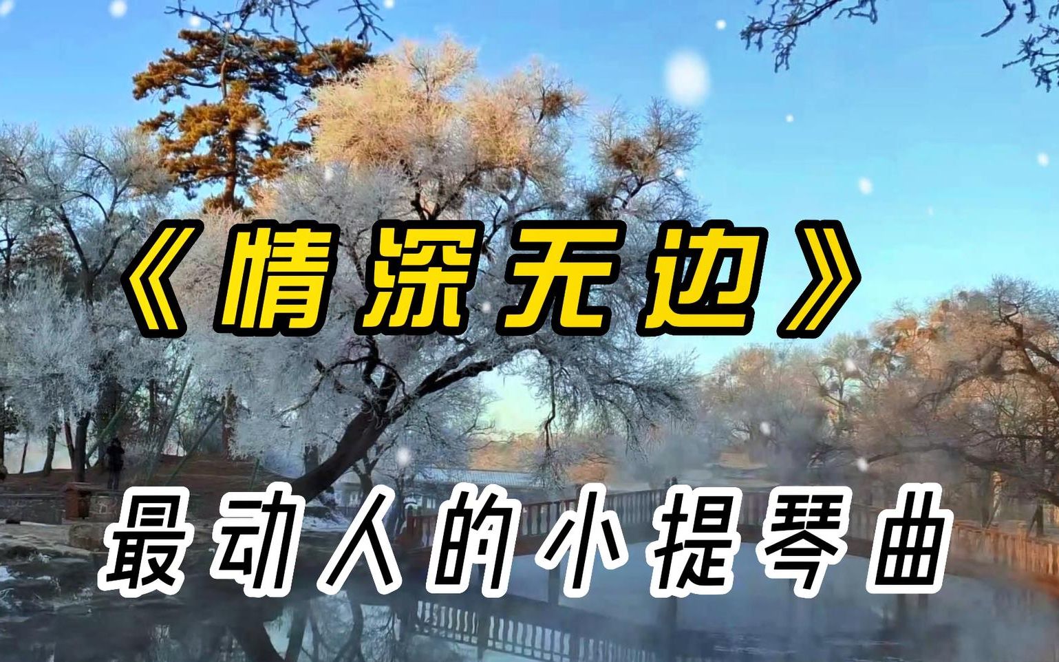 [图]感人的小提琴曲《情深无边》，优美抒情的旋律，诉说着缱绻柔情