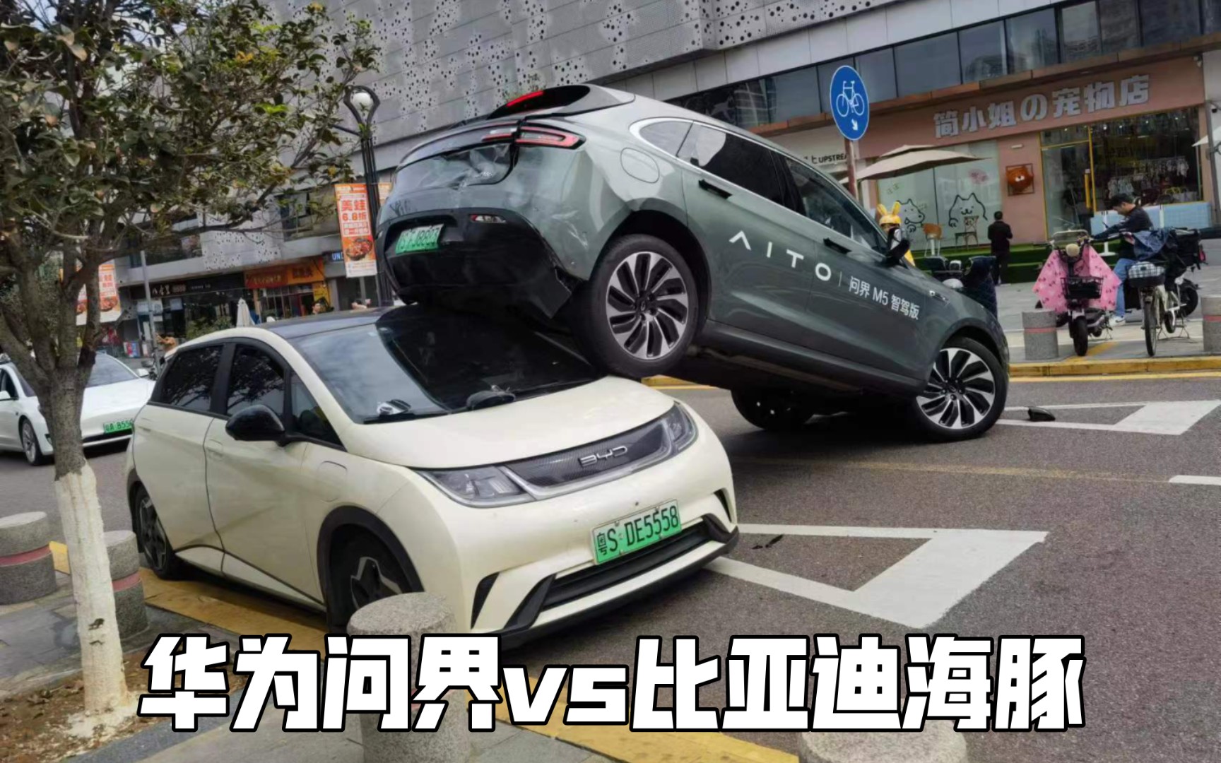 华为问界骑虎难下,比亚迪海豚虎躯擎天!