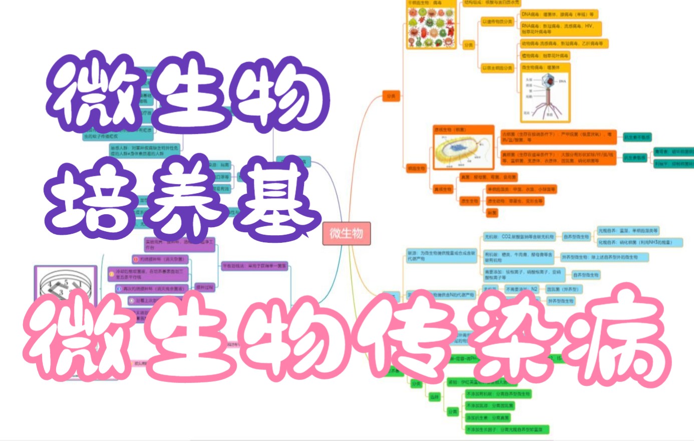 微生物思维导图整理哔哩哔哩bilibili