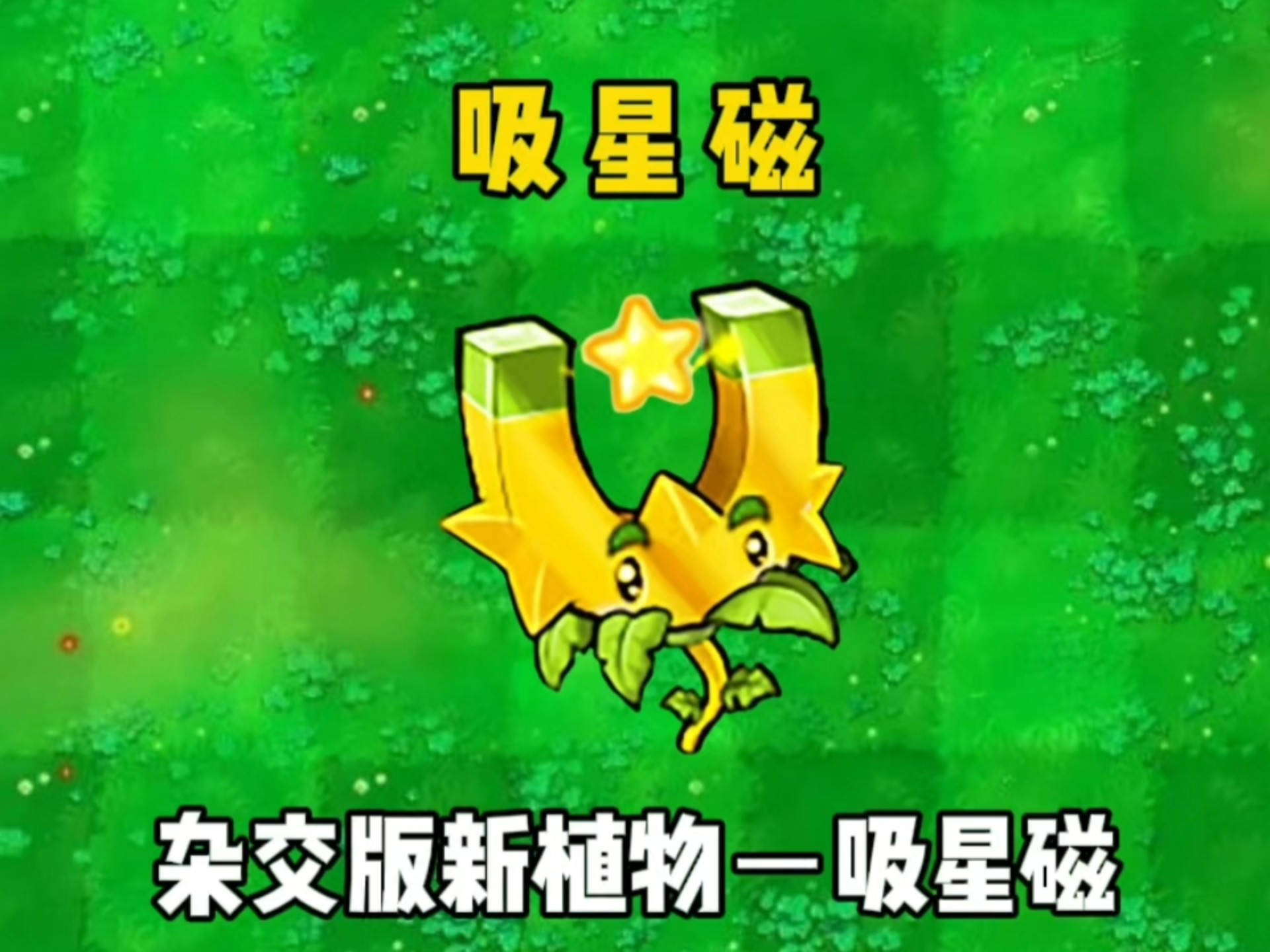 杂交版新植物