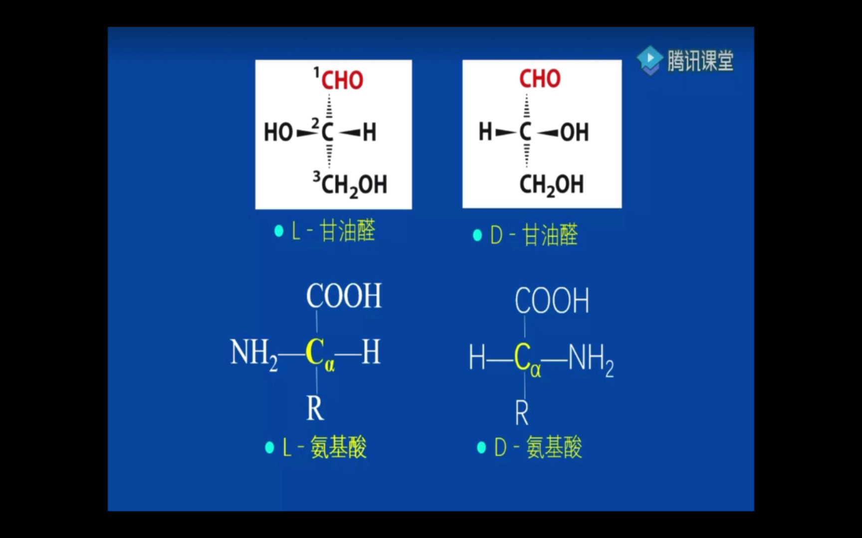 L,D氨基酸哔哩哔哩bilibili