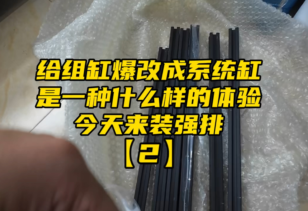 好玩!自己动手把鱼缸改造成“系统缸”组缸改排水真的不难,大家也可以试试看#孔雀鱼#鱼缸 #系统缸哔哩哔哩bilibili