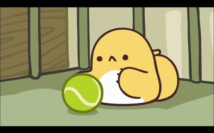 比丢——罗小黑