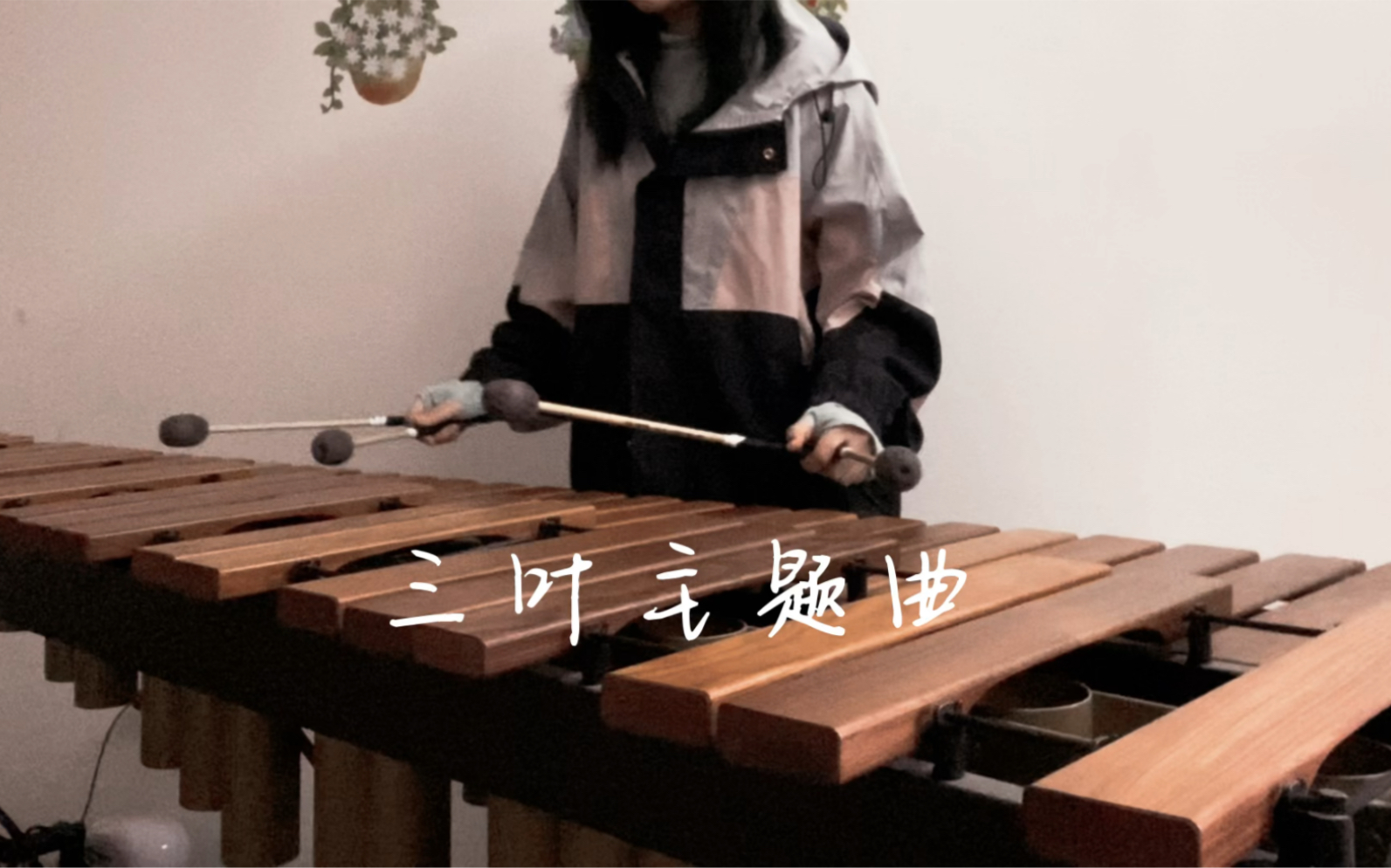 [图]三叶主题曲 你的名字 马林巴cover