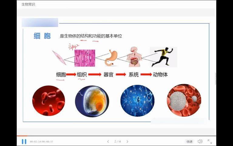 14.生物常识 拾光哔哩哔哩bilibili