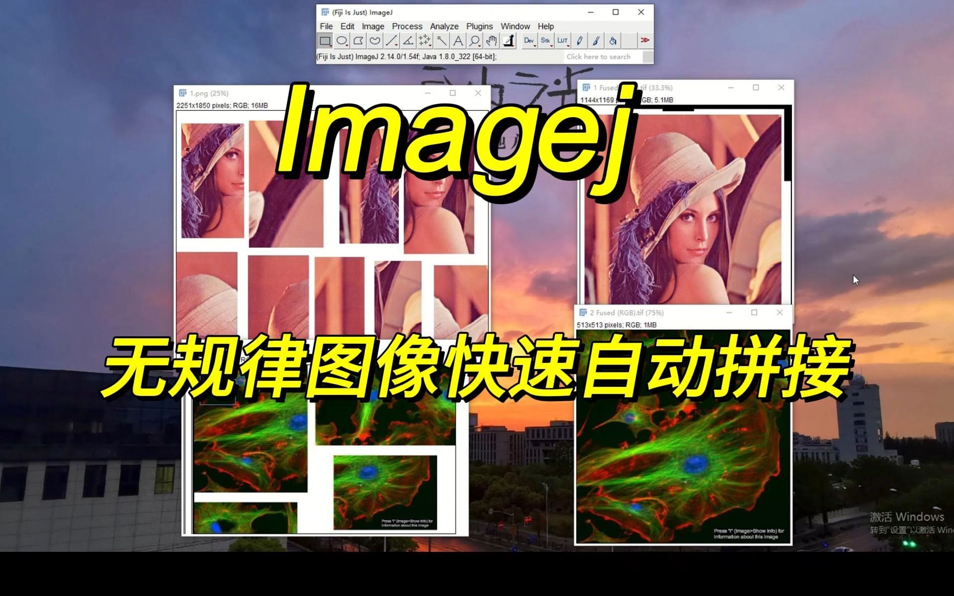 Imagej 无规律图像快速自动拼接哔哩哔哩bilibili