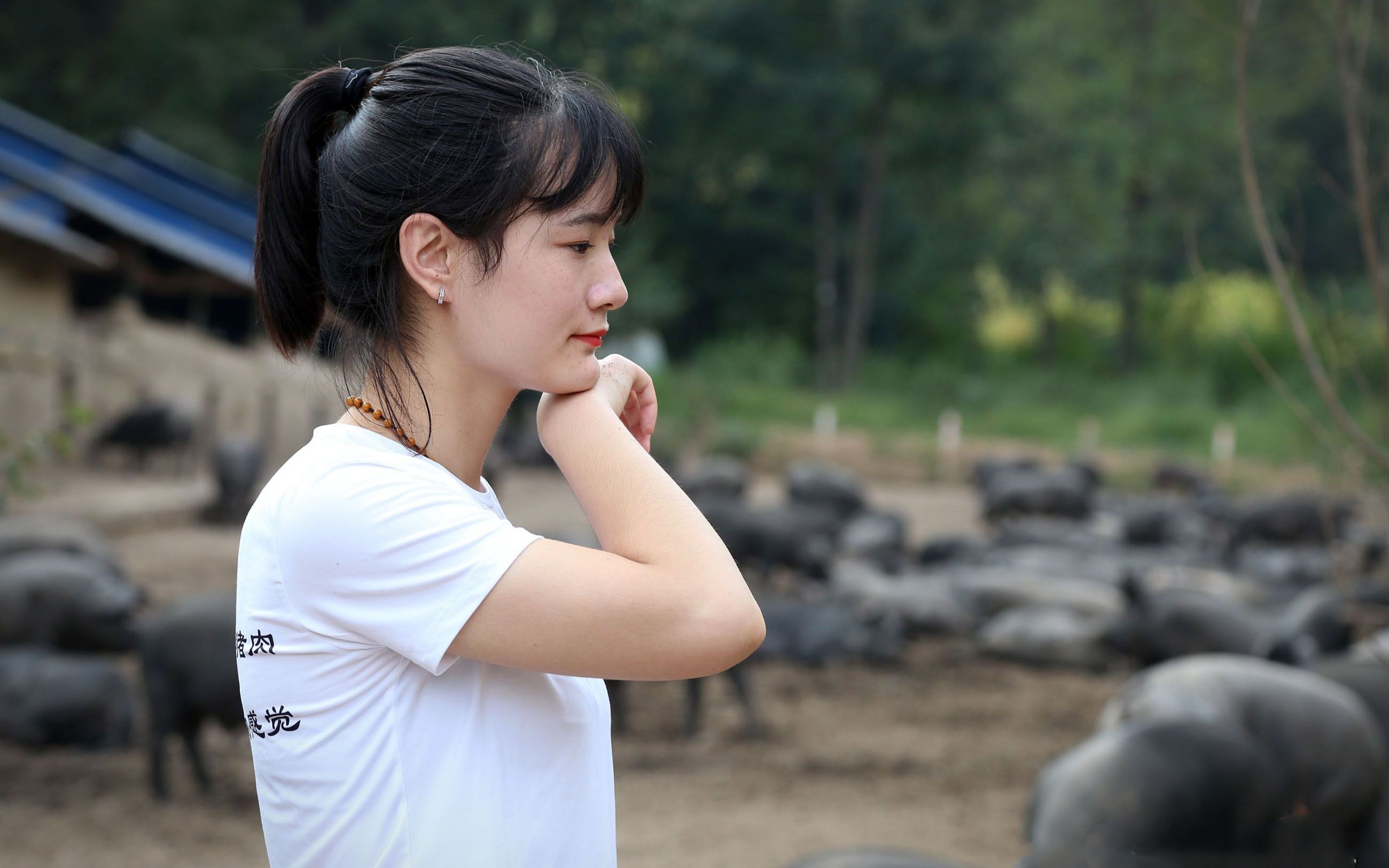 女大学生回农村搞养猪,你看好么