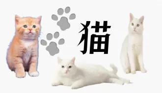 Télécharger la video: 七上17《猫》情境化教学设计|郑振铎先生真的是爱猫人士吗？