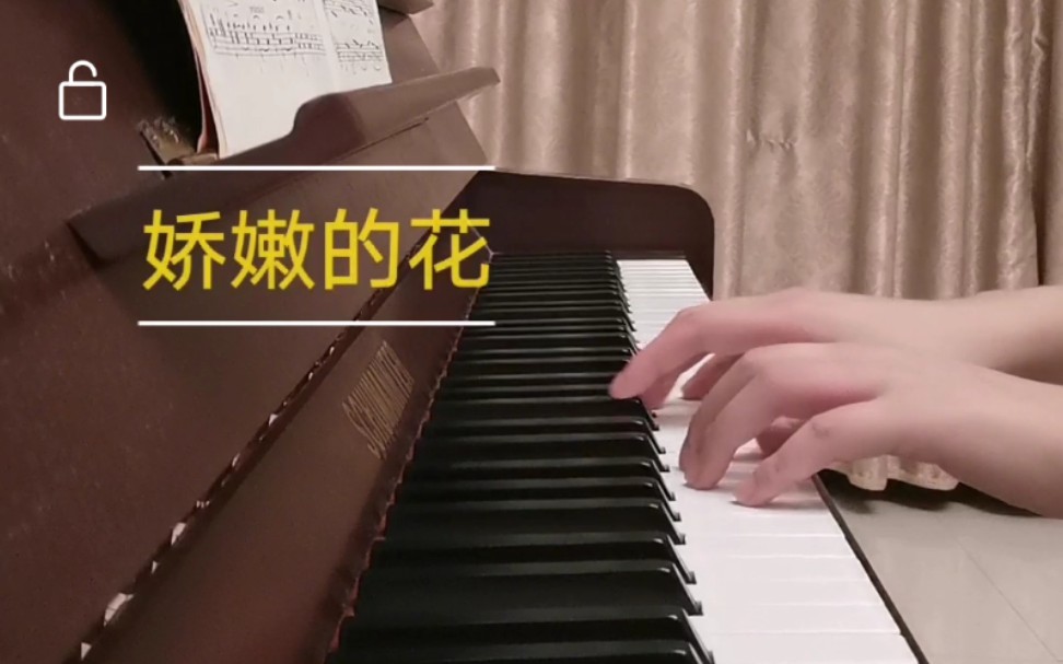 钢琴练习布格缪勒娇嫩的花