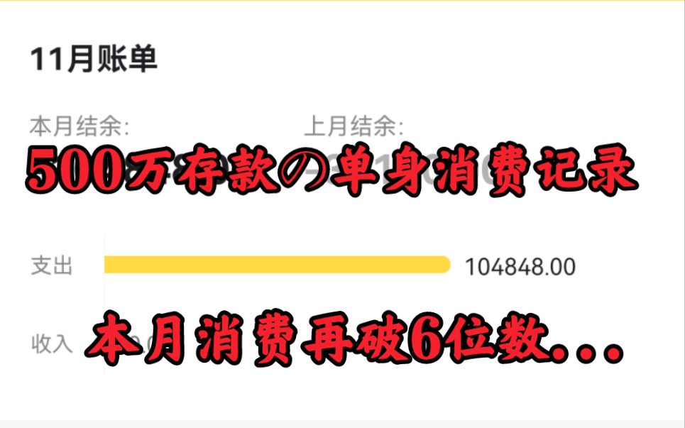 500万存款每月消费记录(2022年11月记账)哔哩哔哩bilibili