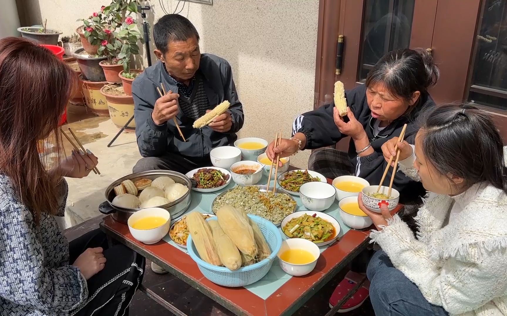 树上的榆钱长出来了,媳妇摘一盆子做蒸菜,今天的午餐可真丰盛哔哩哔哩bilibili