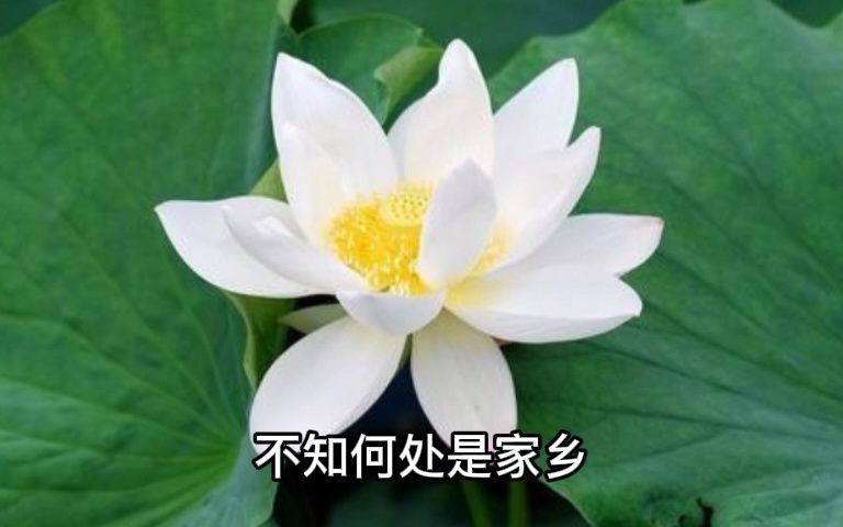 [图]收藏！憨山大师劝世文~