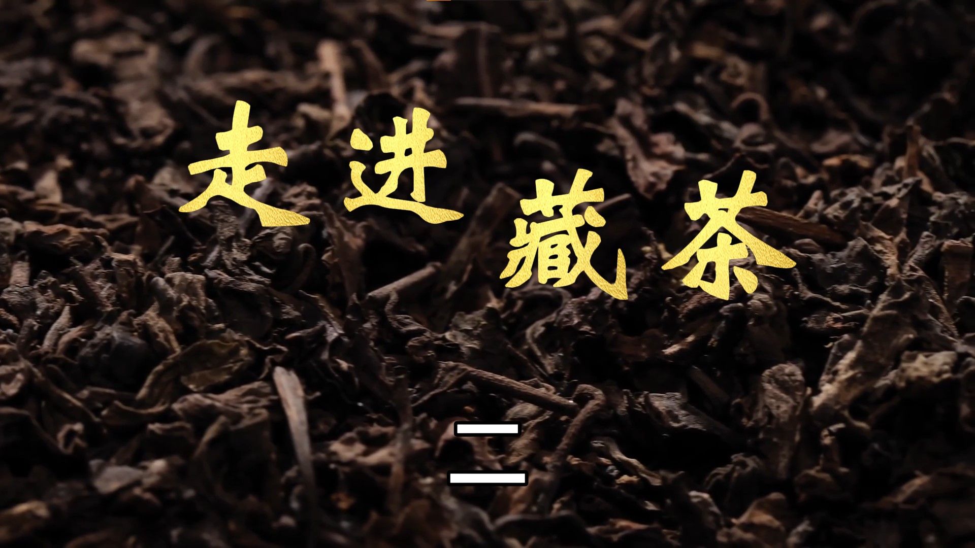 [图]《走进藏茶》 第二集：雅安藏茶