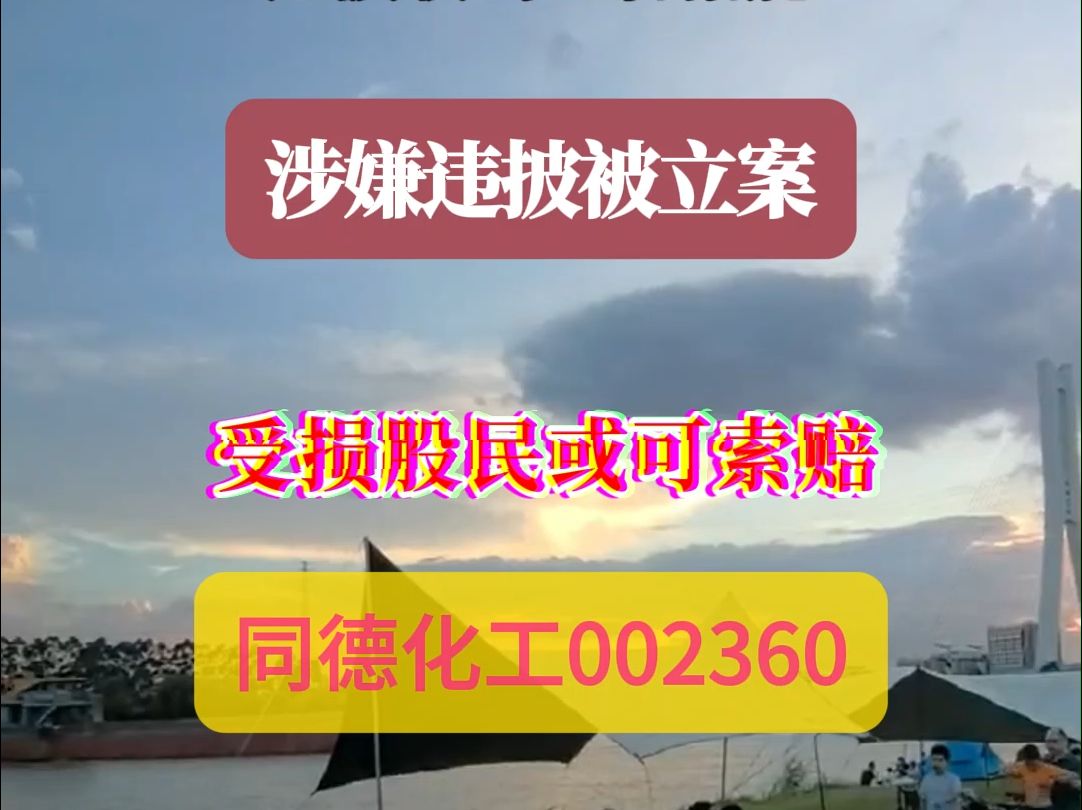 同德化工002360涉嫌违披被立案,受损股民或可索赔哔哩哔哩bilibili