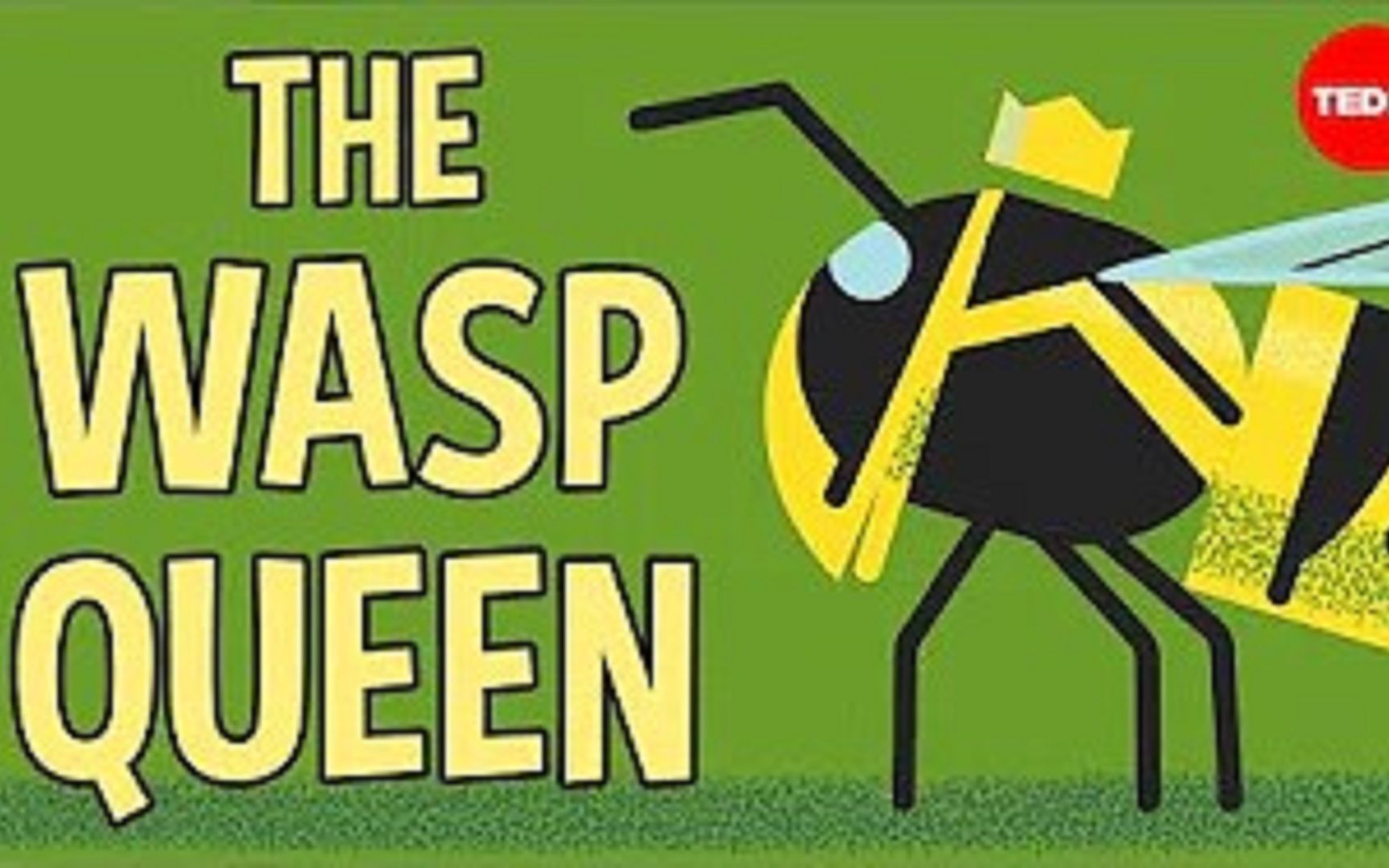 黄蜂蜂后的一生teded英语趣味动画200129生肉双语字幕