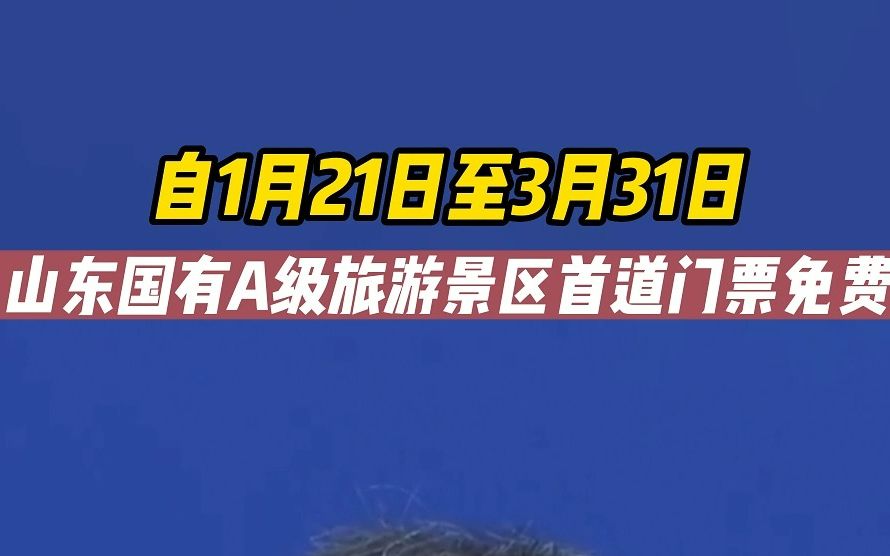 福利来啦!2023年1月21日至3月31日,山东国有A级旅游景区首道门票免费,快让你的山东小伙伴带你游山东吧~#一年一度贺年大会 #好客山东好品山东 #冬...