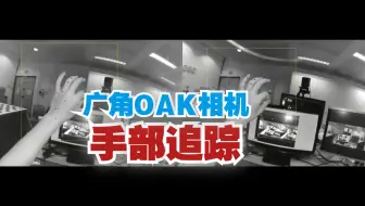 OAK-D-Pro-W相机跑手部追踪，太稳了吧这效果！