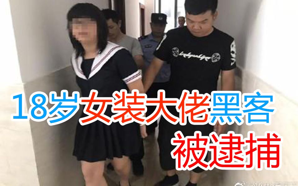 [图]18岁女装大佬黑客入侵公司数据库盗取5万元被捕!!