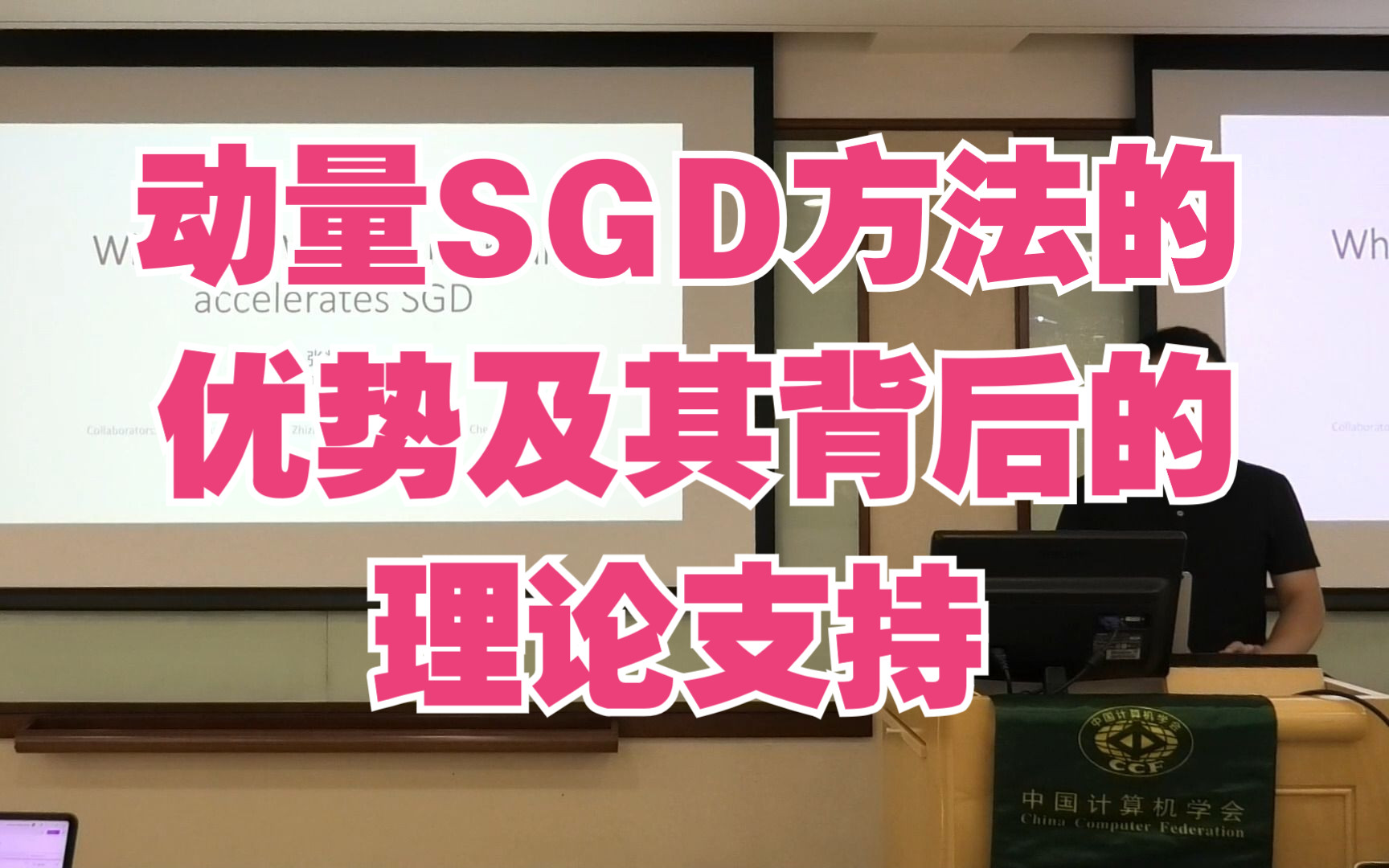 张辉帅博士:动量SGD方法的优势及其背后的理论支持哔哩哔哩bilibili