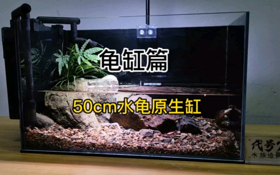 【代号7】50cm水龟缸造景成景欣赏哔哩哔哩bilibili