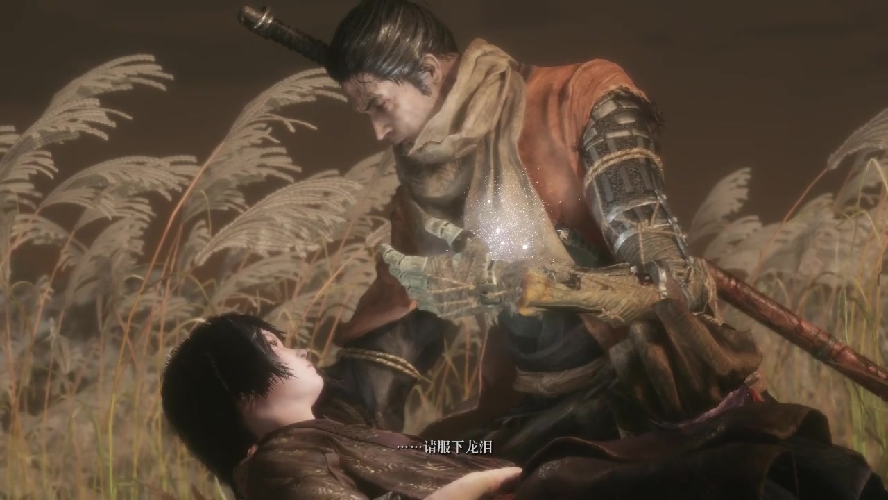 【只狼】完美结局——龙之归乡