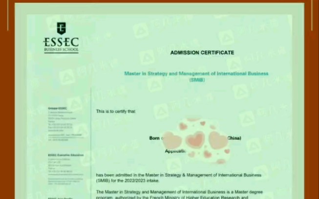 恭喜同学拿到法国TOP2高商ESSEC SMIB专业录取哔哩哔哩bilibili