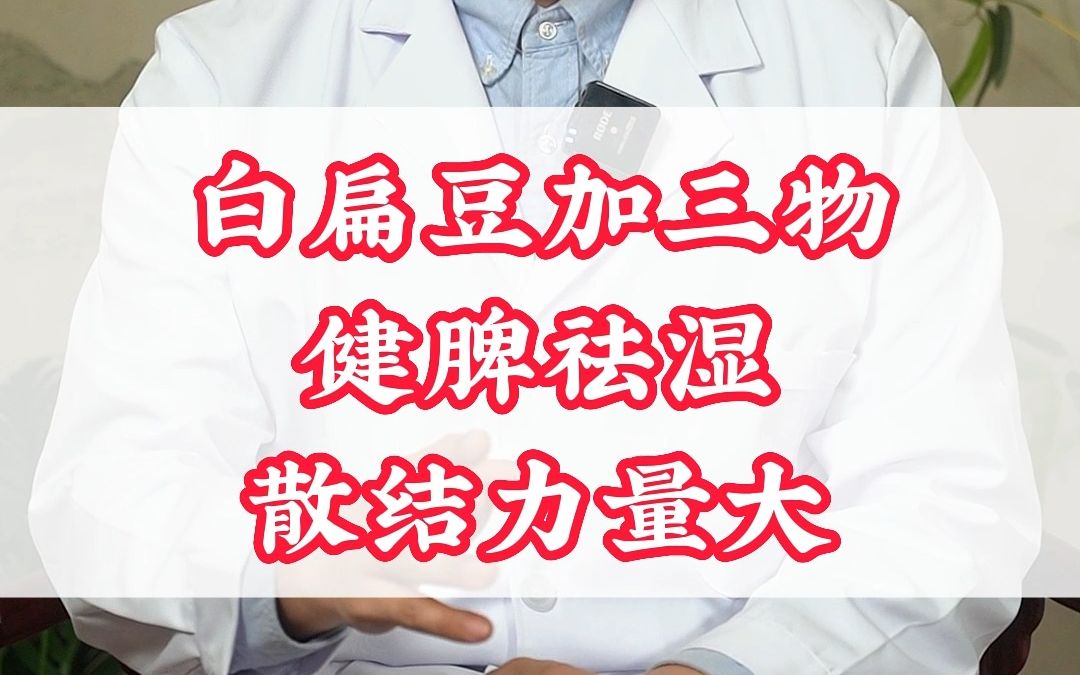 白扁豆加三物,健脾祛湿,散结力量大哔哩哔哩bilibili