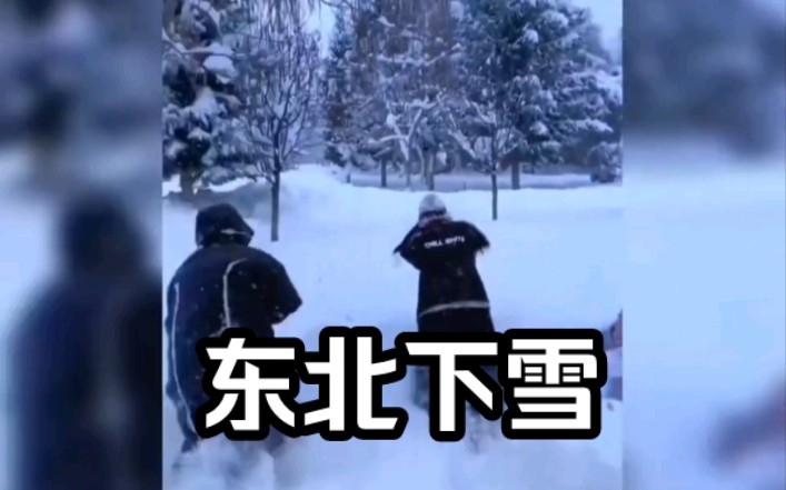 [图]大型纪录片《东北暴风雪传奇》你在南方露着腰，我在东北裹着貂