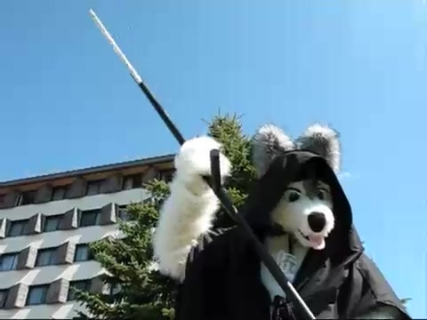 [图]【国外&兽装】一起来看看欧洲的兽装游行吧！ Eurofurence