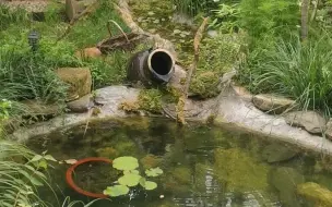 Скачать видео: 夏天太热就来看看小院清凉的美景吧