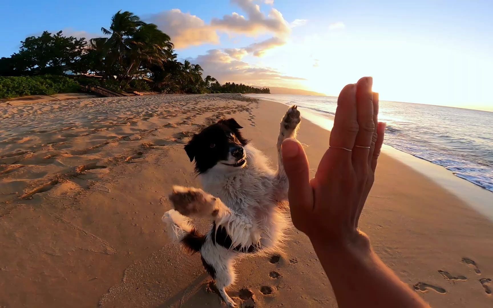GoPro: Creator Summit 2020