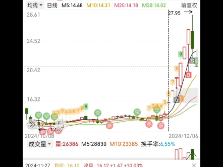 浙江大农 旺成科技 肇民科技 洪兴股份哔哩哔哩bilibili