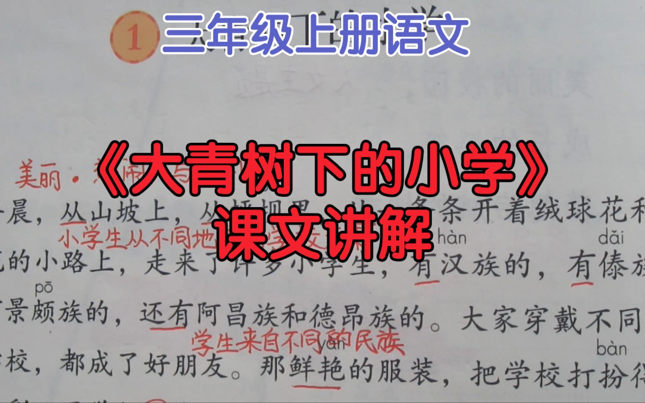 三上语文《大青树下的小学》课文讲解,一所欢乐祥和的边疆小学!哔哩哔哩bilibili