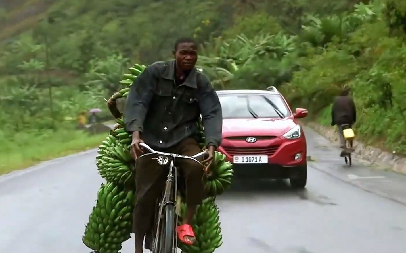 奥德彪一天穿越被诅咒的森林,有蜜蜂,有巫师,就是没有信号!