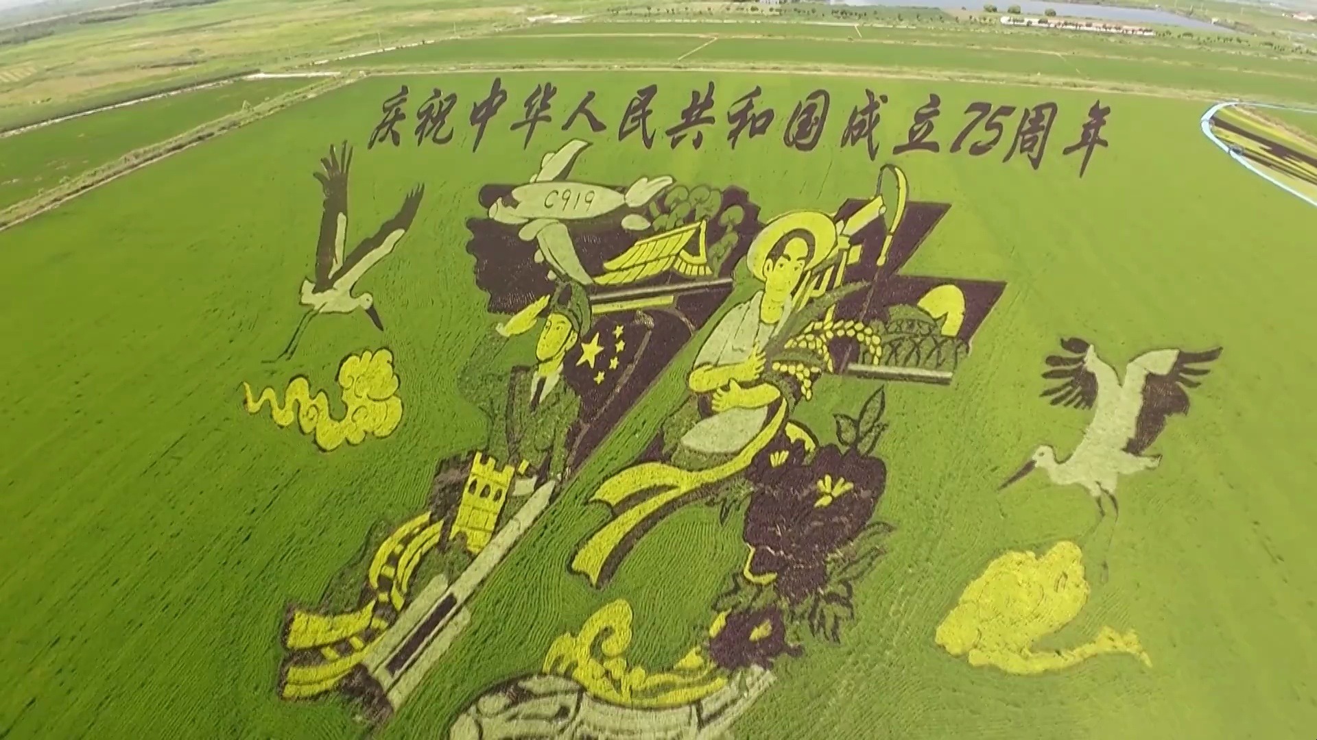 东营市垦利区:多彩稻田画绘出乡村振兴新画卷