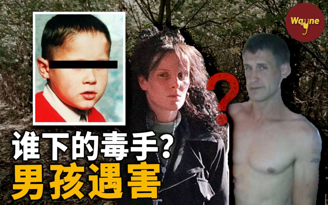 男孩放学后突然遇害,“不良”母亲成最大嫌疑人,20年后真凶浮出水面,竟是当年最想不到的那个人 | Wayne调查哔哩哔哩bilibili