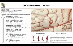 Descargar video: Data-Efficient Deep Learning using Physics-Informed Neural Networks