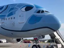 下载视频: 全日空航空 空客A380蓝海龟‼️