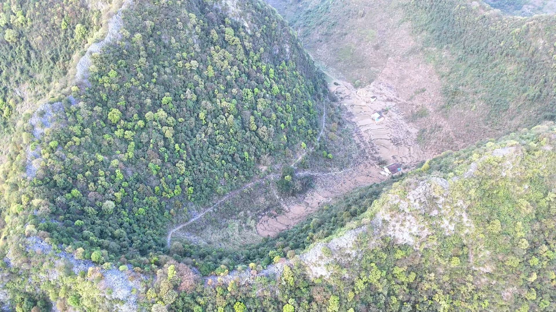 几个月没来这里,84岁独居奶奶又梦到我,玉米又种满山了哔哩哔哩bilibili