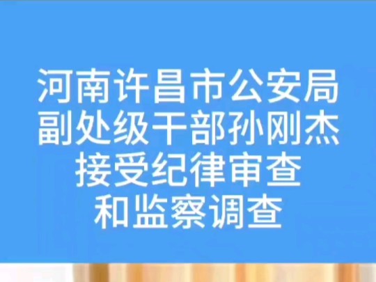 依据《中国共产党纪律处分条例》《中华人民共和国监察法》《中华人民共和国公职人员政务处分法》等有关规定哔哩哔哩bilibili