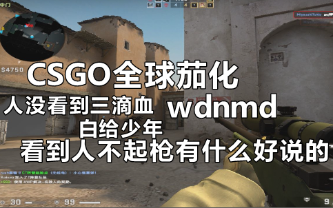 csgo满嘴茄话无能狂怒
